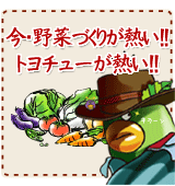 今、野菜づくりが熱い!!