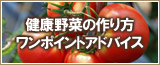 健康野菜の作り方