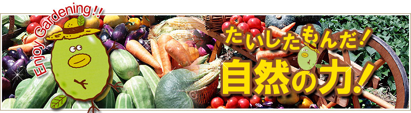 たいしたもんだ!自然の力!